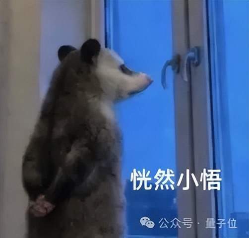 东体:不少海港球迷因台风取消去重庆行程,与英博补赛大概率在8月