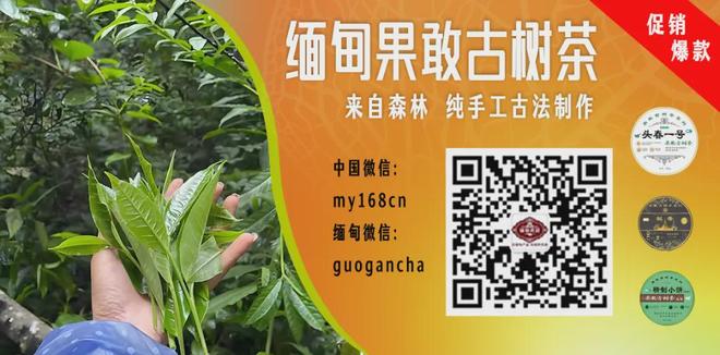 勇士将为詹姆斯报价1500万!计划续约波津 也有意追三大自由球员