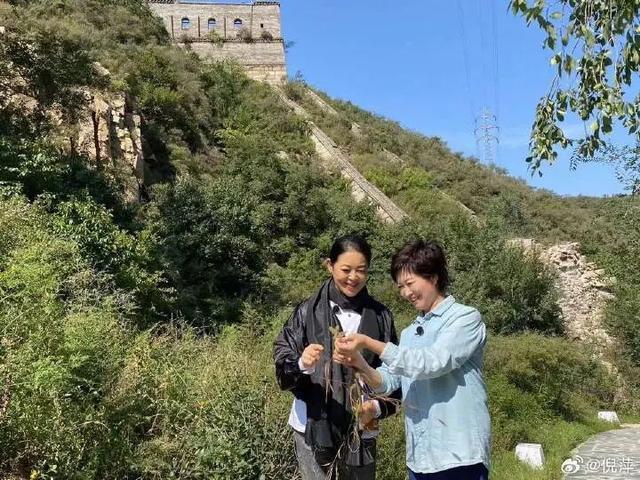 孙宇晨再谈与景甜感情，称“5000万如果给了她也会离开”，坦言感情跟有多少钱没有关系