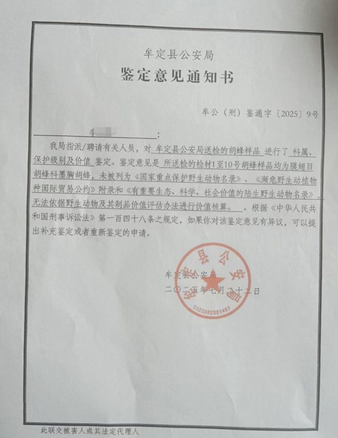 中卫奇缺！英博踢得像无头苍蝇 李国旭经典继续总结 申花伤病无敌