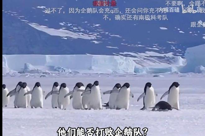 踢得啥嘛?巴西首秀太难堪,安切洛蒂短板被放大,内马尔快复出吧